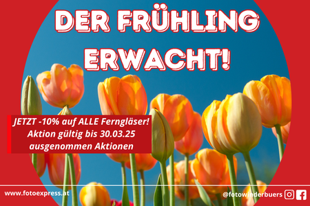 Der Frühling erwacht!