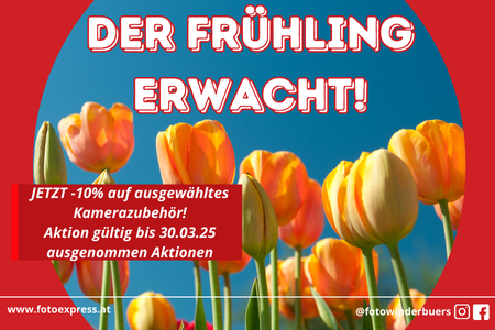Der Frühling erblüht!