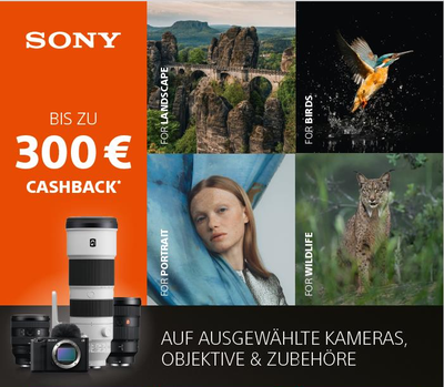 Sony 26 Wintercashback Logo