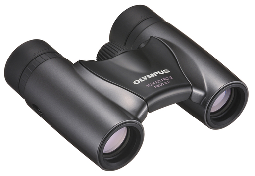 Olympus Fernglas 10x21 RC II Dunkelsilber