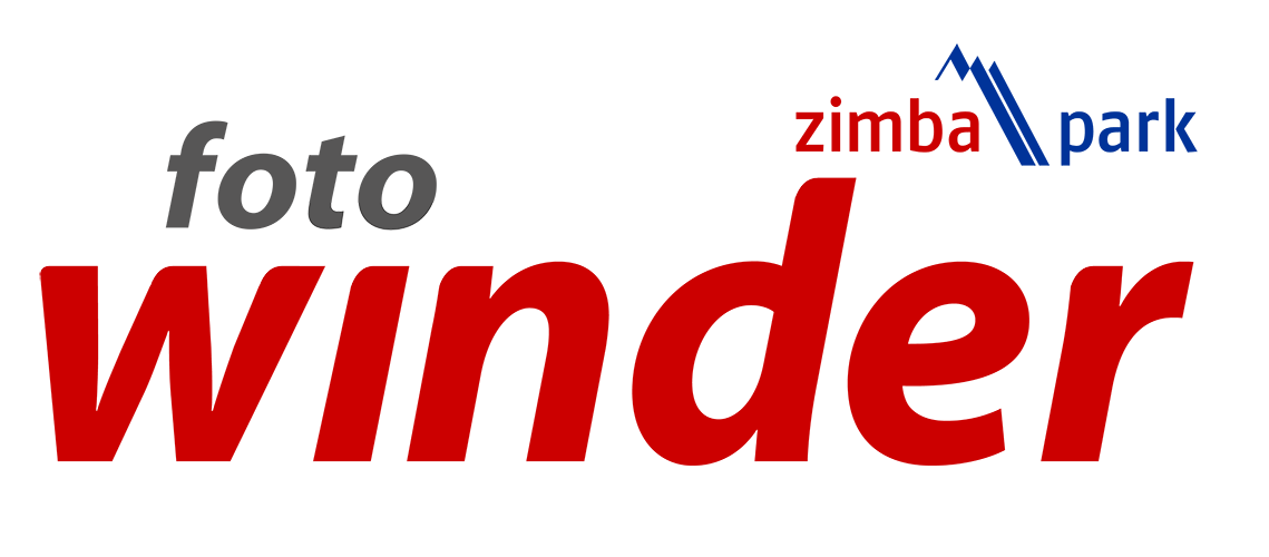 Zur Startseite gehen