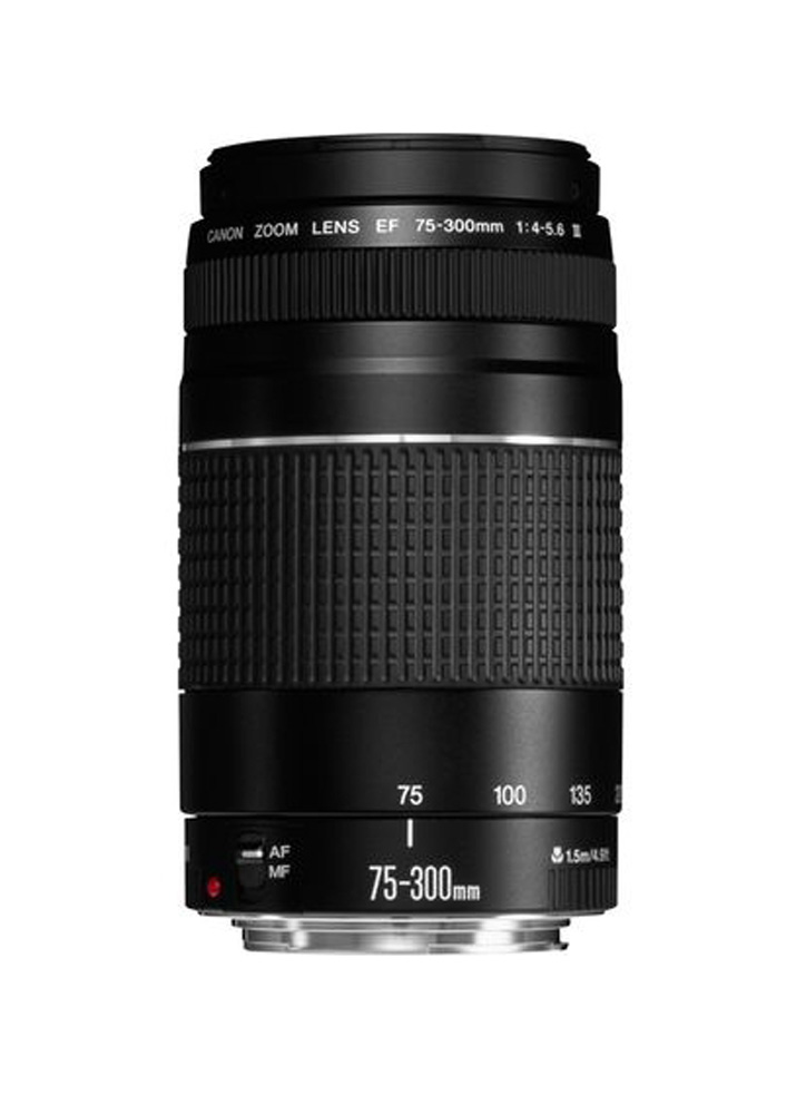 Canon EF 4-5,6/75-300 mm III Objektiv