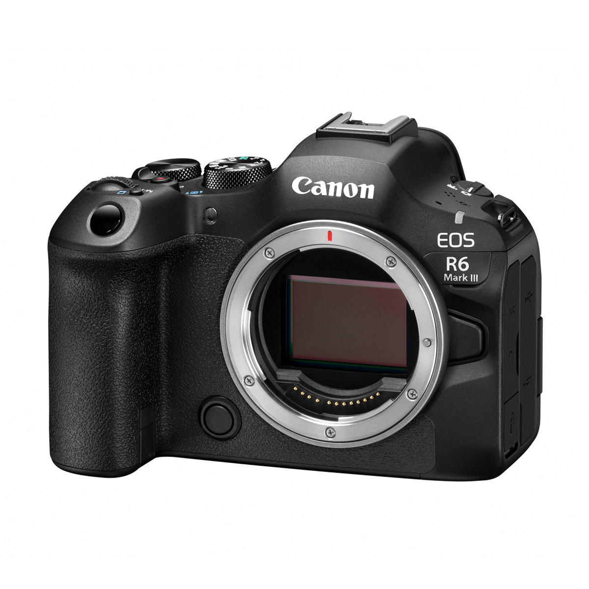 Canon EOS R6 III Body schwarz R6M3
